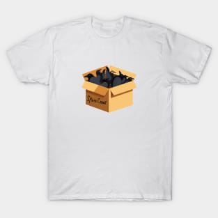 Spare Crows T-Shirt